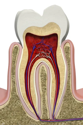 Jutkowitz Periodontics & Implantology 3
