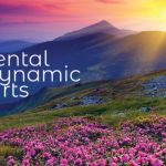 Dynamic Dental Arts: Lori VanderWende-Bleeker, DMD