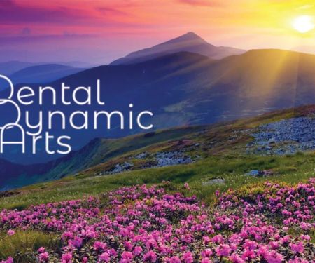 Dynamic Dental Arts: Lori VanderWende-Bleeker, DMD