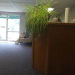 Orthodontics Specialty