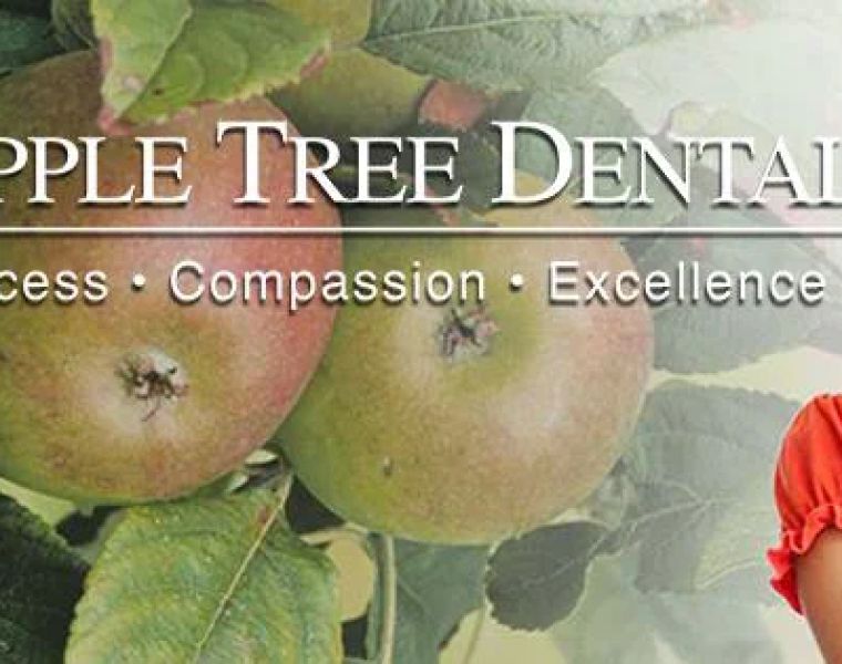 Apple Tree Dental Mounds View