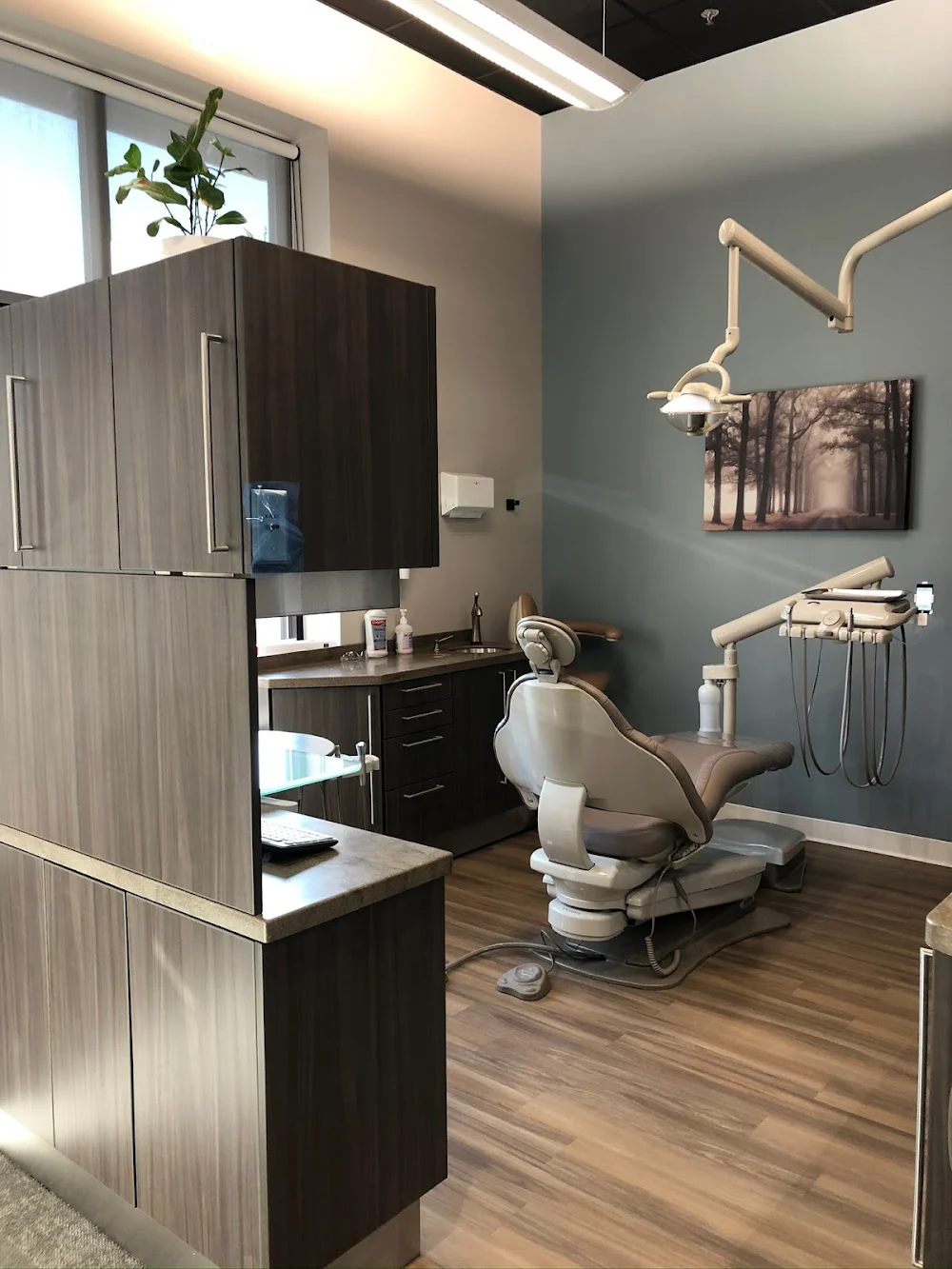 Integra Dental 6