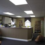 Stuart Gutsche Orthodontics