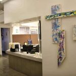 I. Stephen Brown, DDS, FACD, FICD