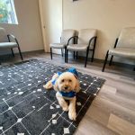 Palo Alto Orthodontics