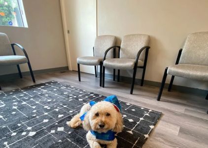 Palo Alto Orthodontics