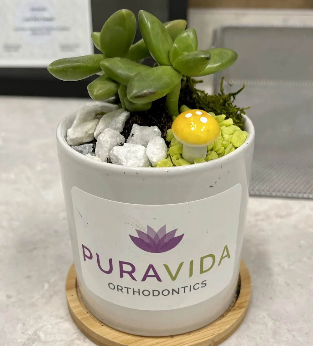 Pura Vida Orthodontics 10