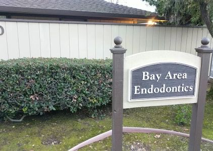 Bay Area Endodontics