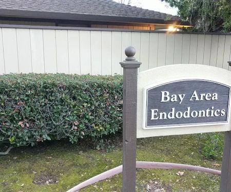 Bay Area Endodontics