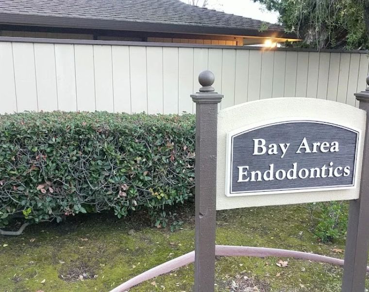 Bay Area Endodontics