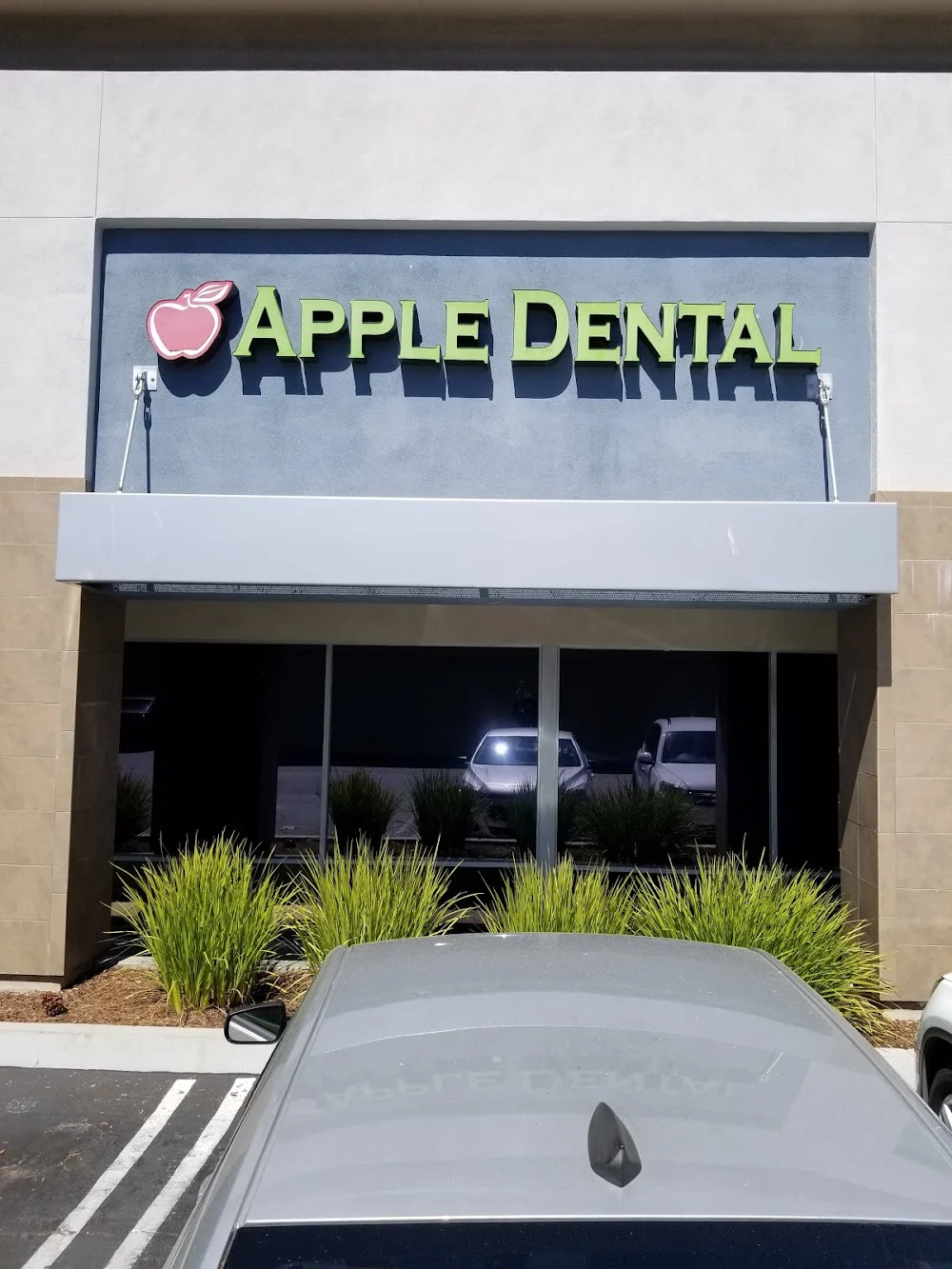 Apple Dental Practice 7