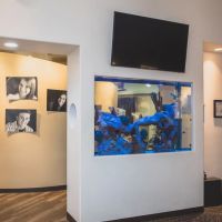 Christensen Orthodontics ico