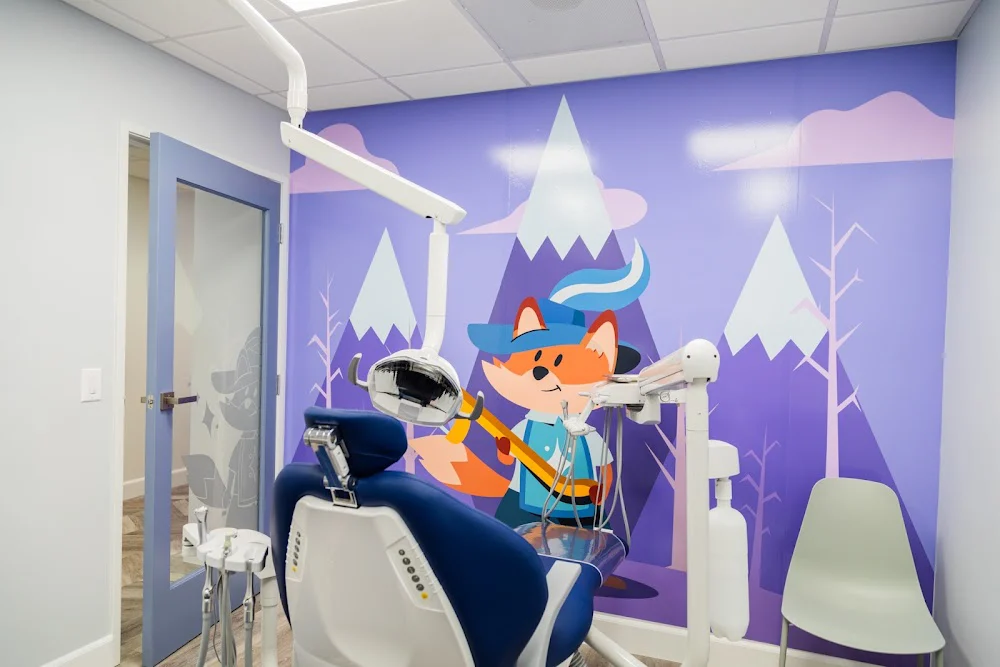 Brushketeers Dentistry for Kids 1