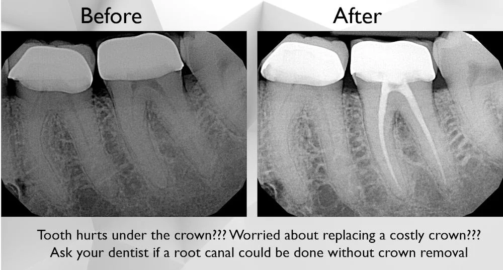 JG Dental 6