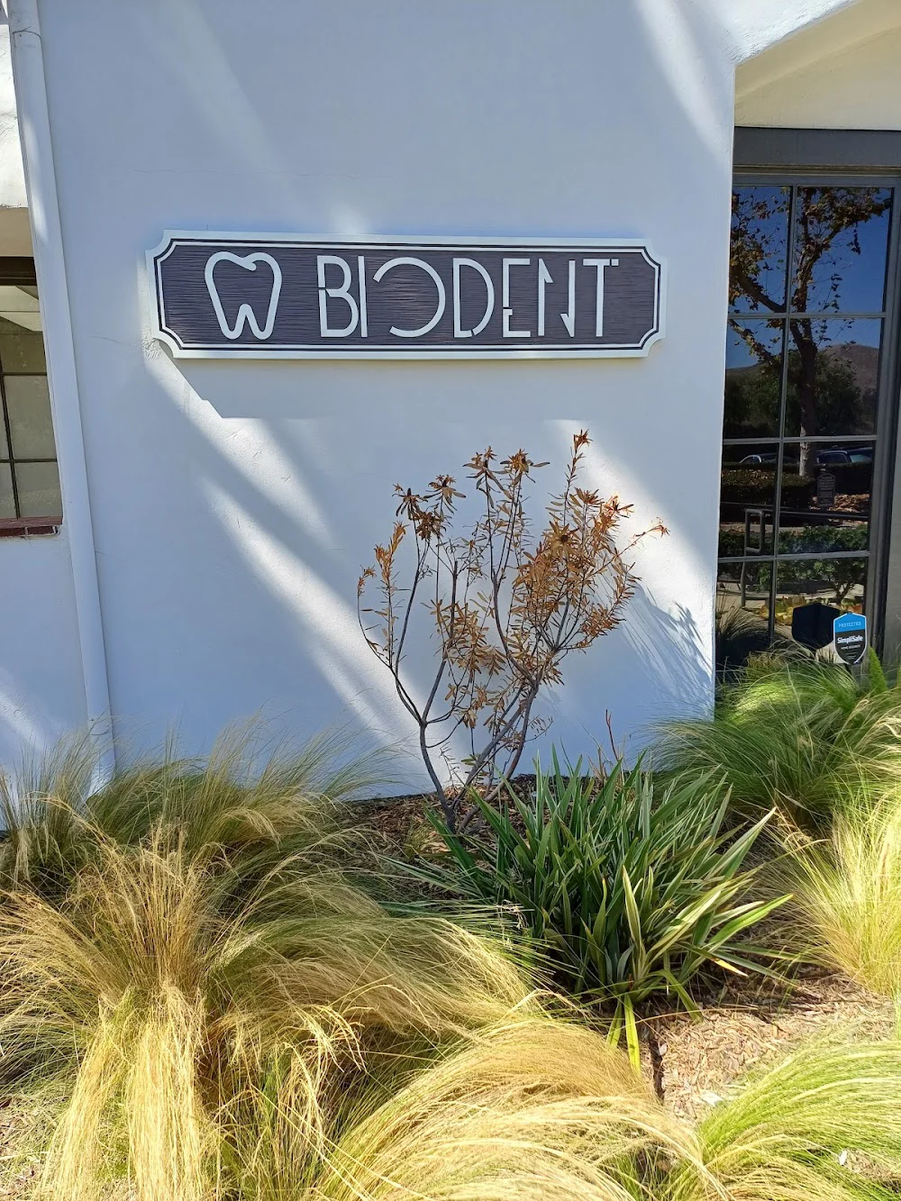 BIODENT, Biologic Holistic Dentistry 10