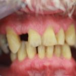 Harvard Dental Group