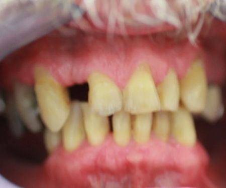 Harvard Dental Group