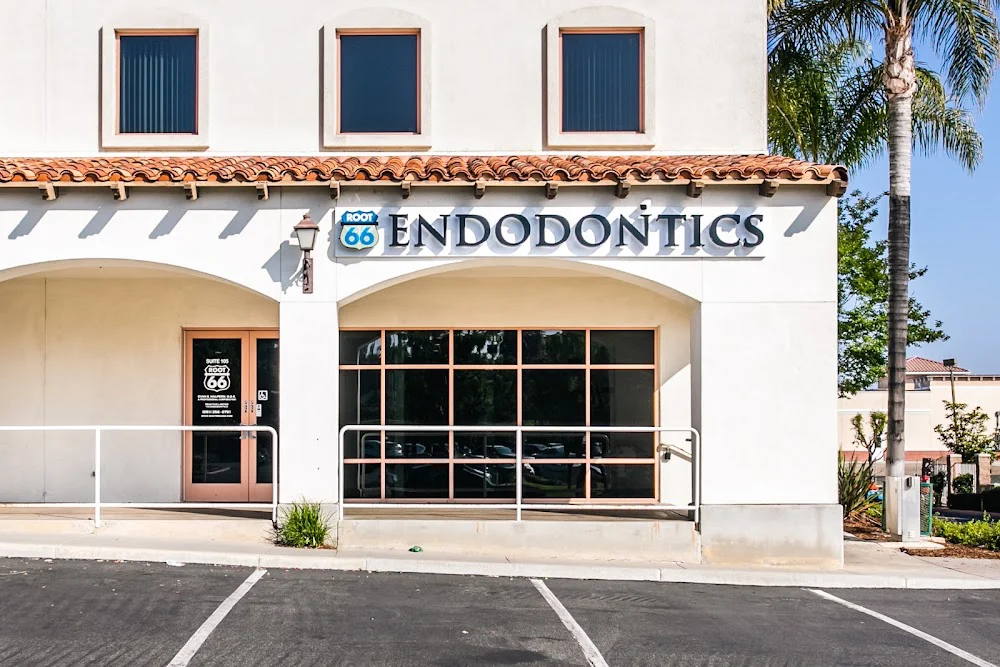 Root 66 Endodontics 5