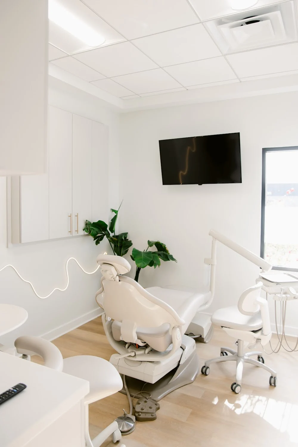 Root Modern Dentistry 4