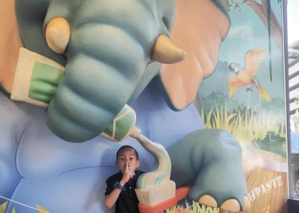 Kiddsmiles Pediatric Dentistry - White Plains