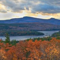 Hudson Valley Periodontics & Implantology ico