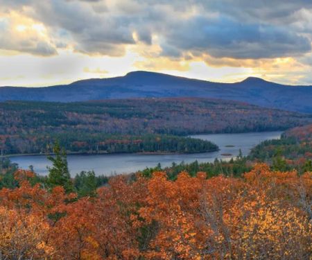 Hudson Valley Periodontics & Implantology