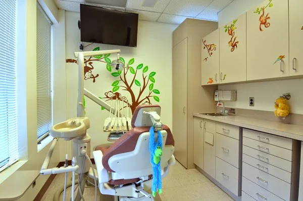 Zee Kids Pediatric Dentistry - Sleepy Hollow 2