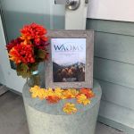 Washington Oral & Maxillofacial Surgery