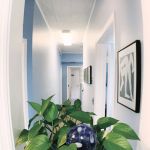 Maria Jacome DDS