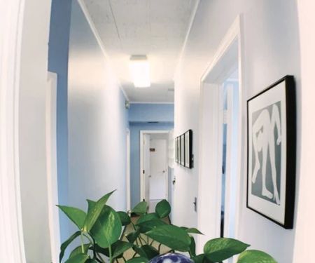 Maria Jacome DDS
