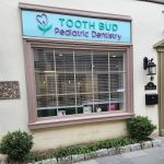 Tooth Bud Pediatric Dentistry