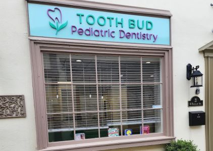 Tooth Bud Pediatric Dentistry