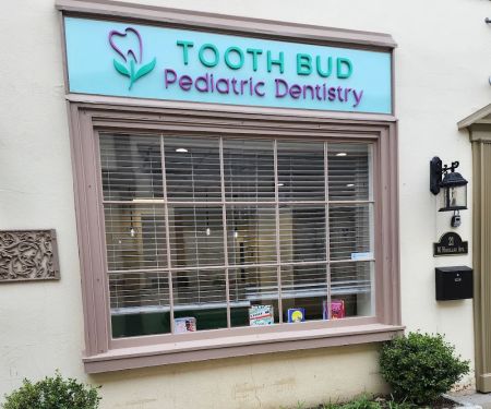 Tooth Bud Pediatric Dentistry