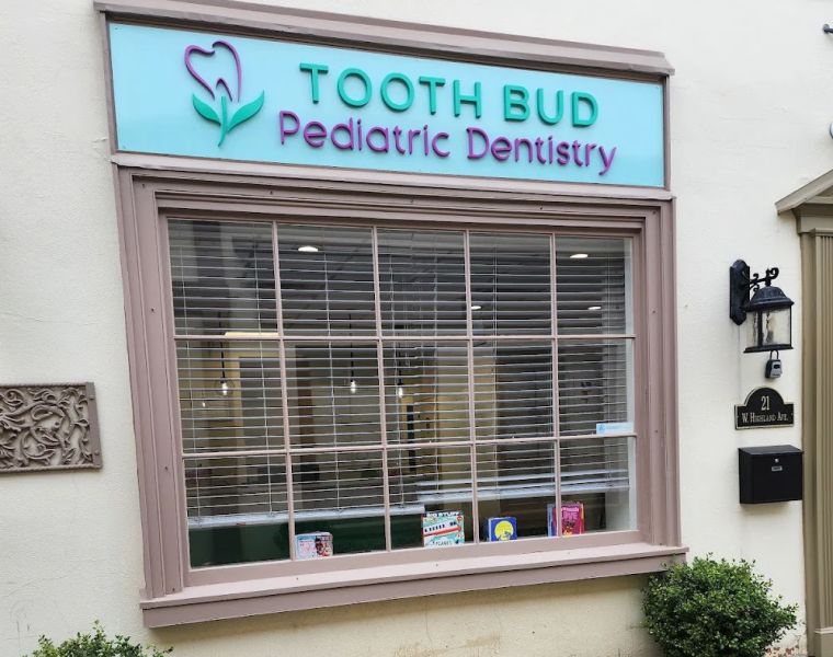 Tooth Bud Pediatric Dentistry