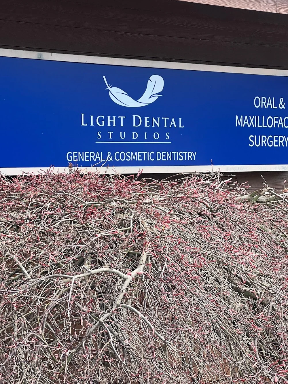 Light Dental Studios of Bonney Lake 7