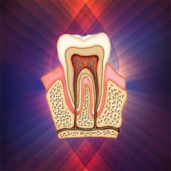 Ecologic Dentistry 7