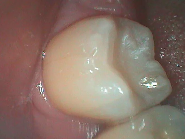 Cook Family Dentistry Picture 7