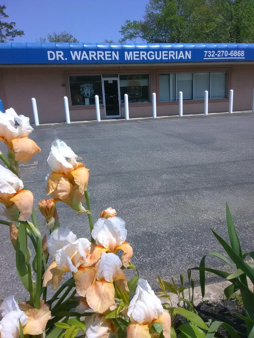 Warren Merguerian, DDS 2