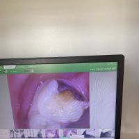 Ideal Smile Dentistry ico