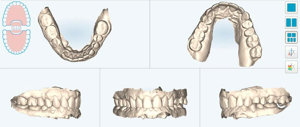 Da Vinci Dental 10