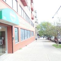 Dental Specialties Of NY ico
