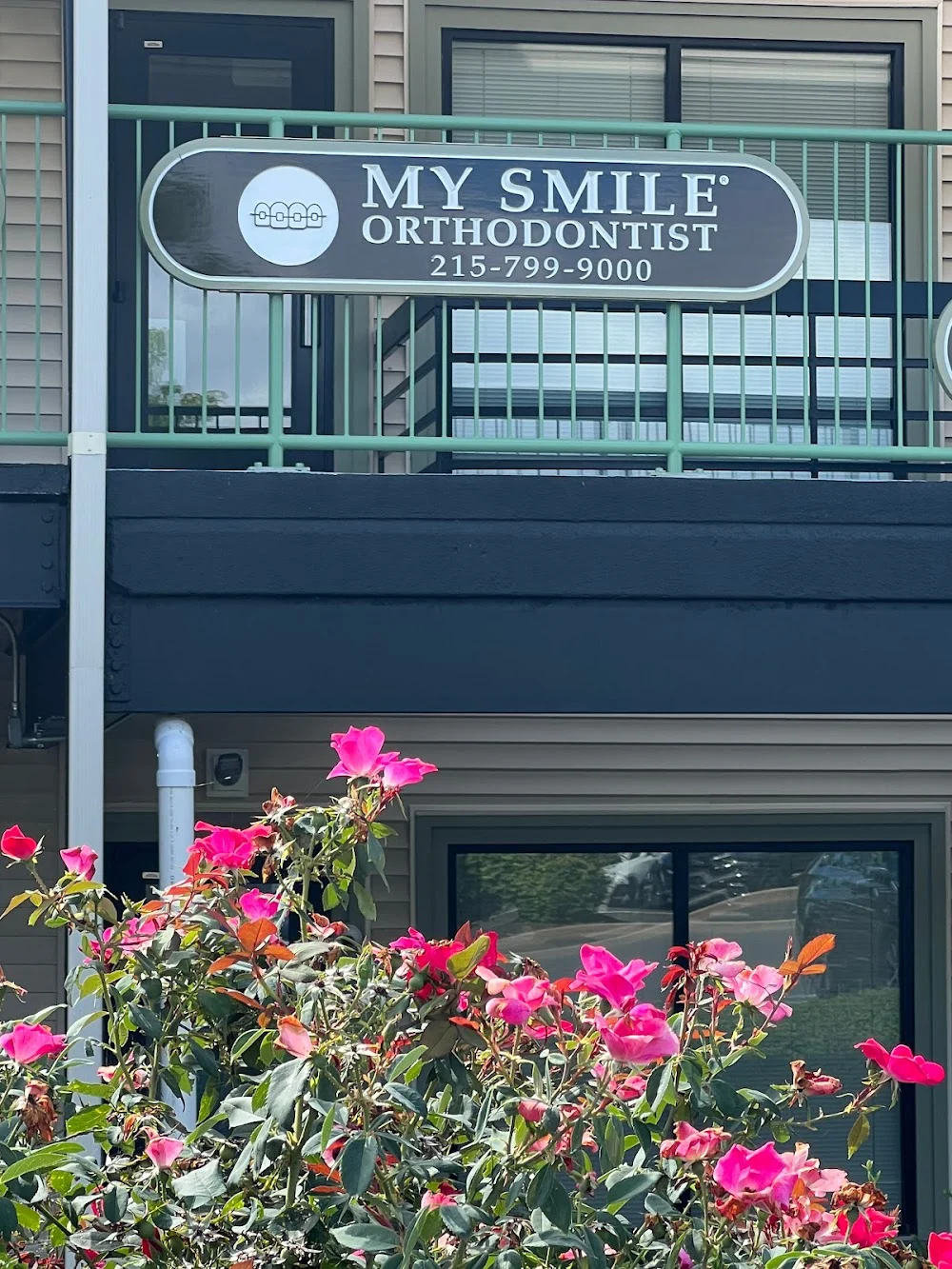 My Smile Orthodontist - Holland 3