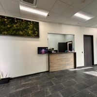Advanced Oral Surgery Orthodontics and Pediatric Dentistry | Cirugía Bucal Avanzada, Ortodoncia y Odontología Pediátrica ico