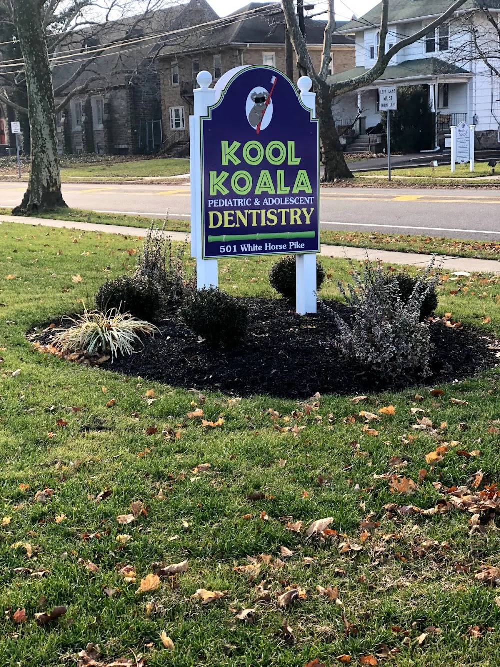 Kool Koala Pediatric And Adolescent Dentistry 4