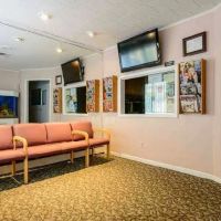 Cold Spring Dental : Eugene Avrash and Kathy Boadway DDS ico