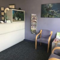 Spring View Dental ico