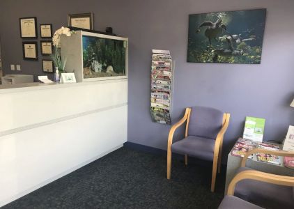 Spring View Dental