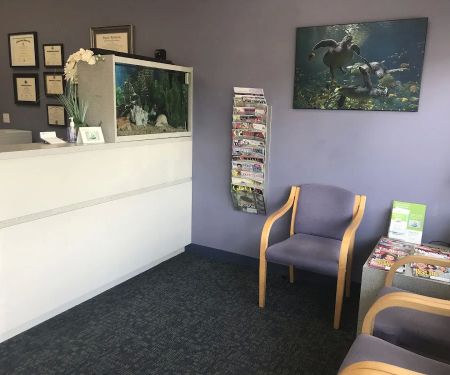 Spring View Dental