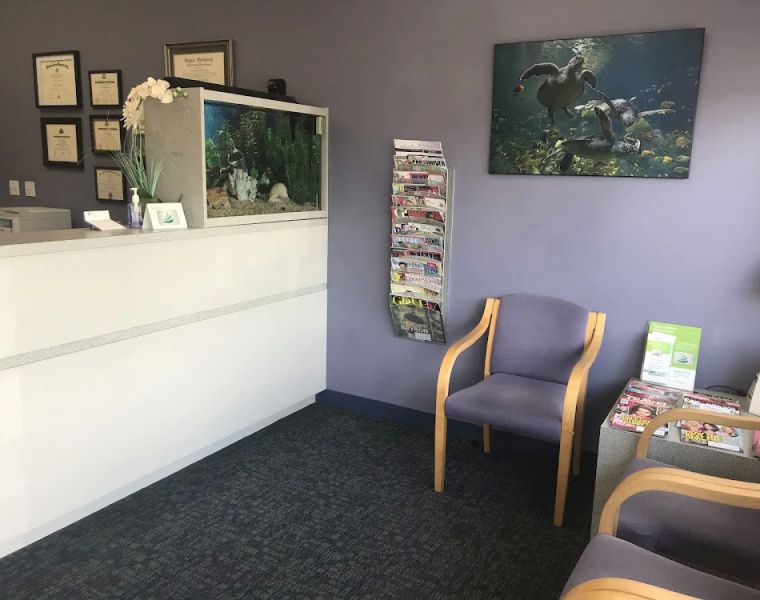 Spring View Dental