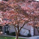 Gwynedd Family Dentistry